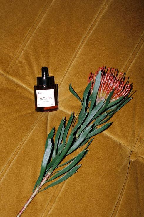 PURIFY NIGHT SERUM